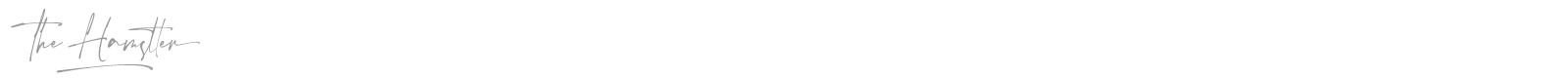The Hamstter font preview